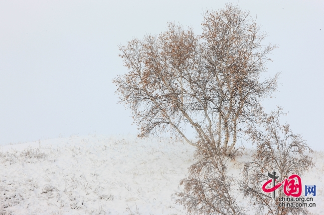 投稿選登：劉長(zhǎng)春——壩上2008年的第一場(chǎng)雪[組圖]