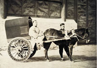 马车 佚名摄于1900年左右 蛋白纸基