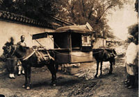 骡轿 中国书店供图 (英)托马斯·查尔德（Thomas Child） 摄制于19世纪70年代 蛋白纸基