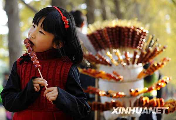 11月9日，一名女孩在北京钓鱼台国宾馆东墙外的银杏林玩耍时品尝糖葫芦。
