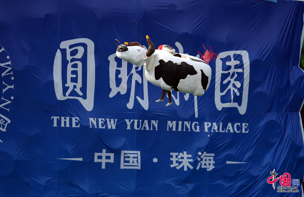 “奶牛”起飞 中国网 杨佳 摄
