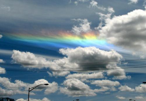 　图中这种扁平状的彩虹就是所谓的火彩虹，也被称为“环地平弧”。