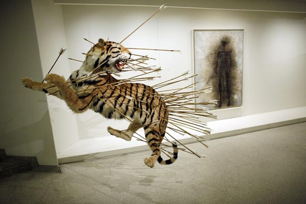2008年2月21日，艺术家蔡国强在纽约古根汉美术馆举办大型回顾展,在装置作品《不合时宜:舞台二》中，蔡国强以箭装点老虎被杀害的场景。路透社/摄影 凯斯•拜德福特（美国）