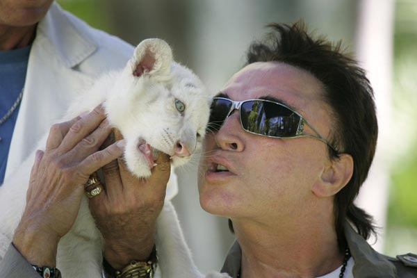 2008年6月12日，驯兽师西格弗里德抱着一只6周大的白虎，他的搭档罗伊•豪恩用鼻子轻触白虎的身体。豪恩和搭档西格弗里德开创了闻名世界的“西格弗里德＆罗伊秀”。路透社/摄影 史蒂夫•马库斯（美国）