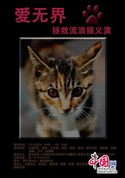 拯救流浪猫义演海报曝光 姜昕龙宽任真领衔演出