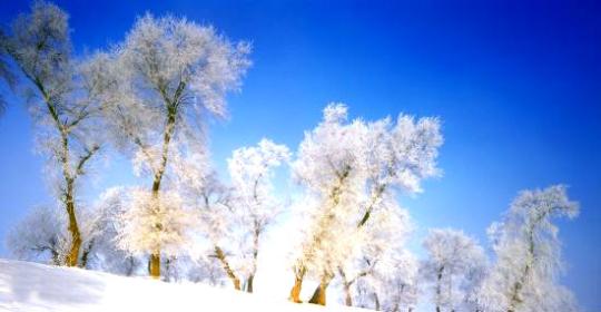 漠河:北方以北的天空 在雪地撒野 漠河:北方以北的天空 在雪地撒野