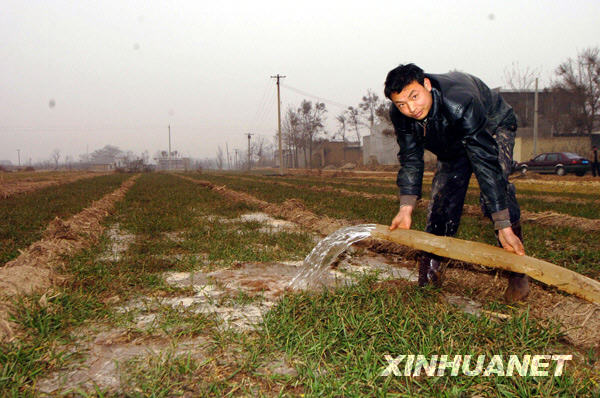 我国北方地区遭遇严重干旱 各地群众全力抗旱[组图]