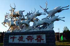 十鹿奔春