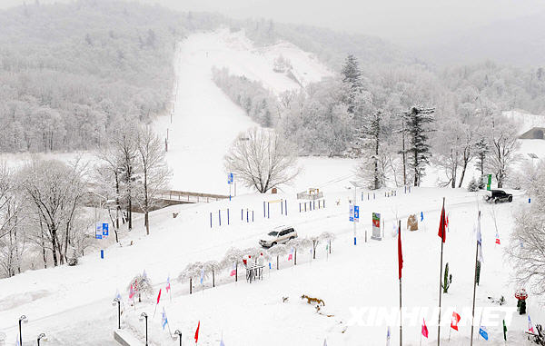 大冬会亚布力赛区一夜飞雪 尽展雾凇美景[组图]