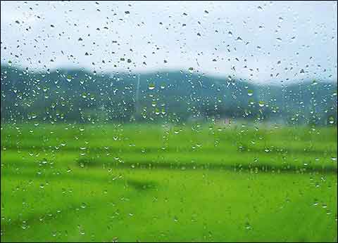 字号: 大 中 小昨天(3月2日),南京继续阴雨天气,淅淅沥沥的小雨下了一