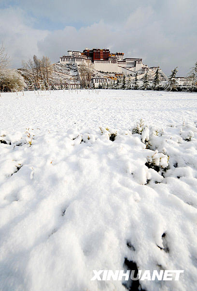 西藏拉萨喜降瑞雪 布达拉宫雪景迷人[组图]