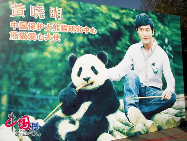8只“奥运大熊猫”22日启程离京返回成都[组图]