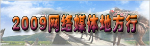 2009年网络媒体行