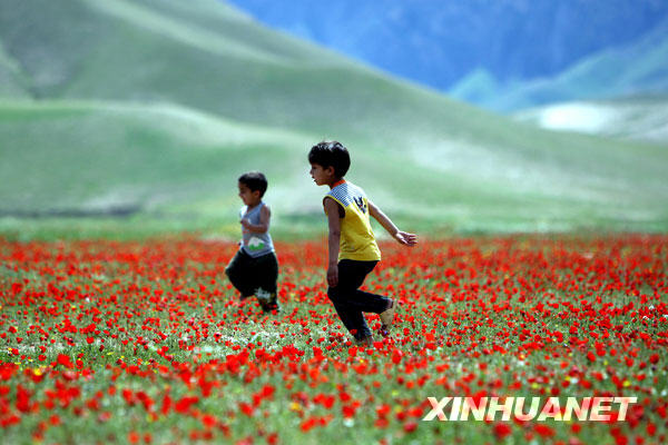 4月18日，在阿富汗北部朱兹詹省，两名儿童在开满鲜花的田野里玩耍。阿富汗的春天在不经意间已经来临。不知这美丽的春天，能否给这个饱受战争磨难的国家带来新的和平希望。