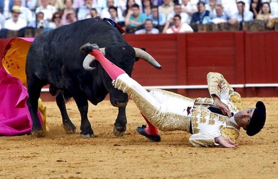 西班牙疯狂刺激的斗牛大赛[组图]_图片中心_中国网