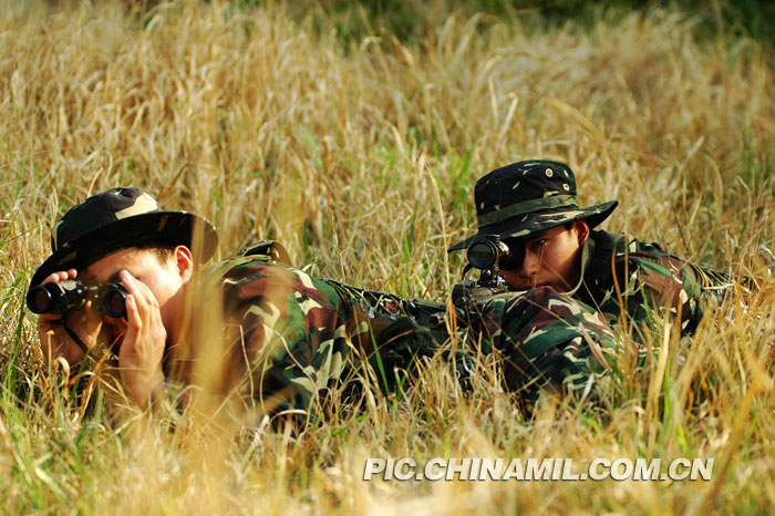 我軍狙擊手苦練隱秘狙殺[組圖]