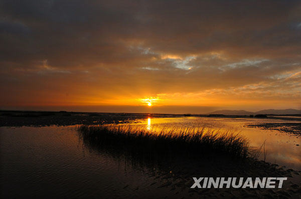 闽江口湿地日出（2006年9月15日摄）。