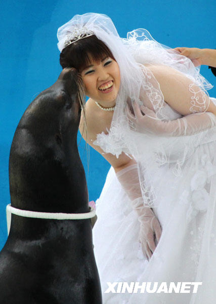 7月5日，在日本横滨一家水族馆举行的婚礼上，一只海狮“亲吻”新娘，表达“祝福”。当天，这家水族馆为一对新人举行了浪漫别致的婚礼。