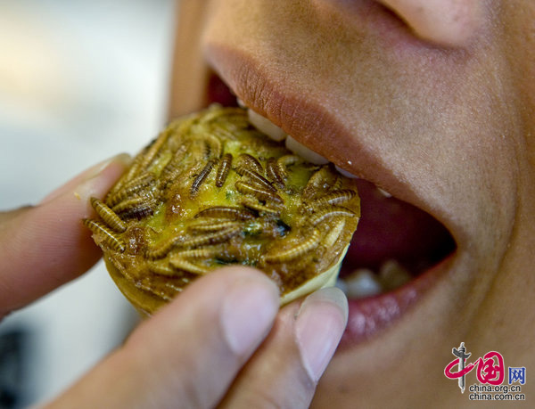 2009年6月29日，荷兰海牙，荷兰兴起“吃虫热”，高蛋白食品走上餐桌。一名妇女正在品尝“粉虫派”，这是利用黄粉甲虫的幼虫，制作成了一种糕点，目前在荷兰很是走俏。