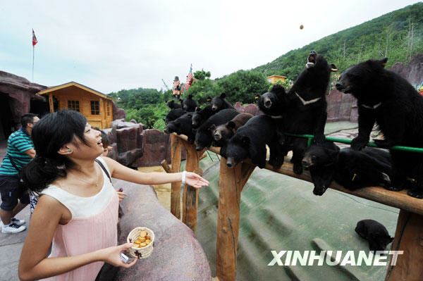 7月7日，一名游客正在工作人员的引导下，近距离体验喂熊的乐趣。