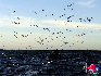 吉力湖：吉力湖是乌伦古河的一部分，在当地被称作小海子。位于乌伦古河入乌伦古湖之前，面积约为乌伦古湖的六分之一，吉力湖整个东海岸及河口两侧，芦苇茂密，杂草丛生，还有白天鹅、斑鹤等稀有珍禽，夏秋两季可谓“鸟类天堂”。