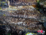 吐鲁克岩画：位于喀纳斯湖一道湾东岸的变质千枚岩上，现岩画共分为两处，内容是以马、羊、狼、狗、鹿、雪鸡等动物为主。雕刻手法细腻、朴素，造型优美，是游牧民族生活的真实写照。向京/摄影