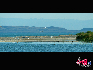 乌伦古湖大海子的东北岸的海滨景区，由细腻柔软的白色石英砂组成的沙滩，绵延数十里。湖底坡降平缓，湖水清澈见底。100—200米宽的浅滩，湖底细沙清晰可见，湖岸周围多为固定半固定沙丘，是理想的游泳胜地，被游人誉为“新疆第一海滨浴场”、“福海黄金海岸”。