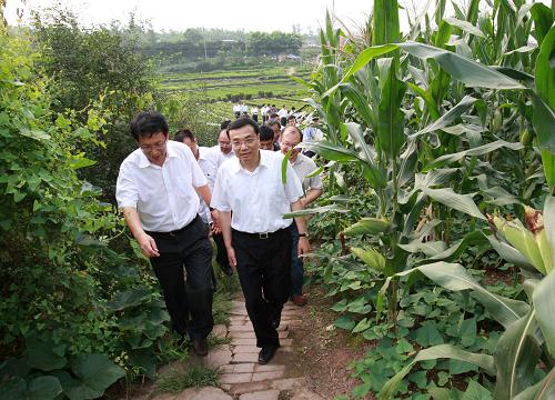 7月10日至11日，中共中央政治局常委、国务院副总理李克强在重庆考察。这是7月10日，李克强来到重庆市江津区破石村，沿着田间小路实地察看农业产业化经营情况。新华社记者 庞兴雷 摄 