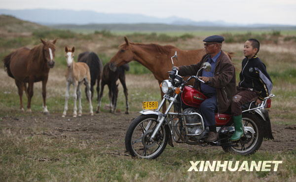 7月14日，在新疆伊犁昭苏县伊犁种马场，一名牧民带着孩子查看自己在此寄养的马匹