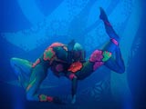 水下芭蕾舞美仑美奂[组图]