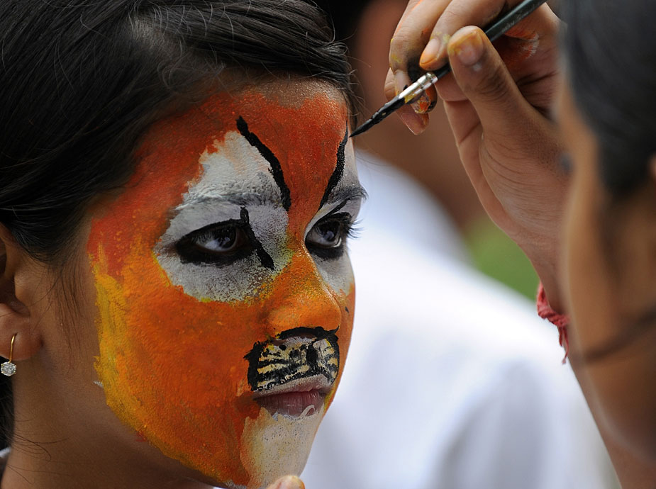 印度学生画脸谱呼吁保护野生动物[组图]