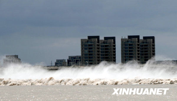 8月8日，在浙江省海寧市老鹽倉(cāng)，錢(qián)塘江大潮洶涌澎湃。 當(dāng)日是農(nóng)歷六月十八，在臺(tái)風(fēng)“莫拉克”的影響下，錢(qián)塘江出現(xiàn)非同一般的大潮汛。 