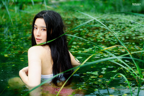 盘点十大美女明星 丛林写真大PK(组图)