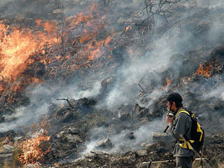 阿根廷山火造成至少3人死亡