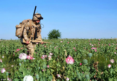 25歲英軍狙擊手成功在1853米外射殺塔利班頭目[組圖]