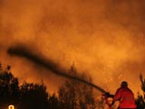 希腊马拉松地区发生森林火灾[组图]