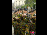 在比利时国庆阅兵式上，这是军士士官生编队。（图片由比利时驻华使馆提供）