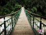 6黄果树河流上的铁索桥。  （王茂桓 摄影）