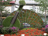 国家京剧院特色花坛