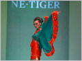 '蝶扇.缘'2010NE?TIGER发布会