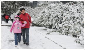 北京大雪[组图]