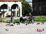 广场上悠闲地市民，肥肥的鸽子到处可见。中国网 赵娜摄影