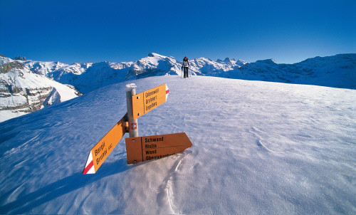 瑞士国家旅游局提供 瑞士激情滑雪(组图)