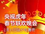 央视虎年春晚大联欢