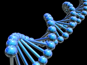 世界95个不同种族基因历史的全球最详尽的图