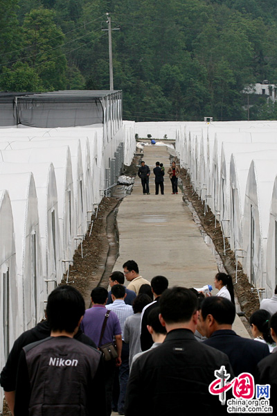 净产值 纯收入(2)