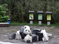 雅安碧峰峡熊猫基地