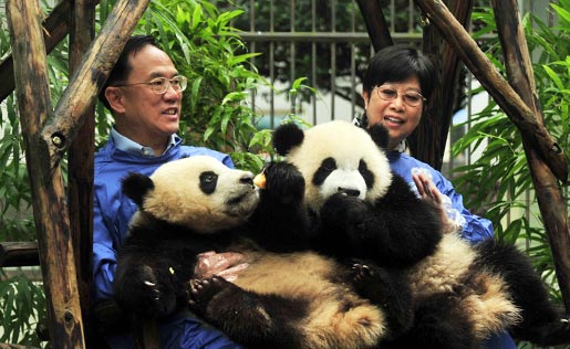 曾荫权亲密接触大熊猫 来川考察援建[组图]