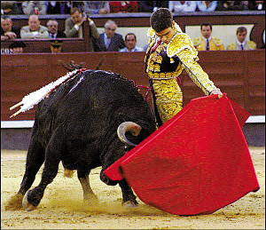 西班牙斗牛禁令引发全民大讨论