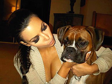 好莱坞明星twitter宠物<em>照片</em>秀 <em>凯蒂佩里</em>爱兔子_